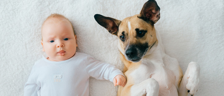 Thane city Lifestyle | Are you tensed about your newborn and pets? Here’s how you can introduce them to each other