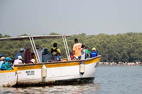 Small Steps Adventures - Trekking Groups Mumbai